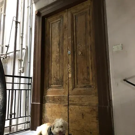 Akasa Di Flock * Napoli