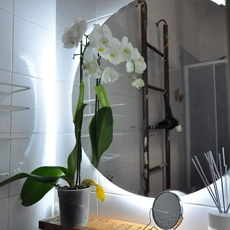 Akasa Di Flock Neapol